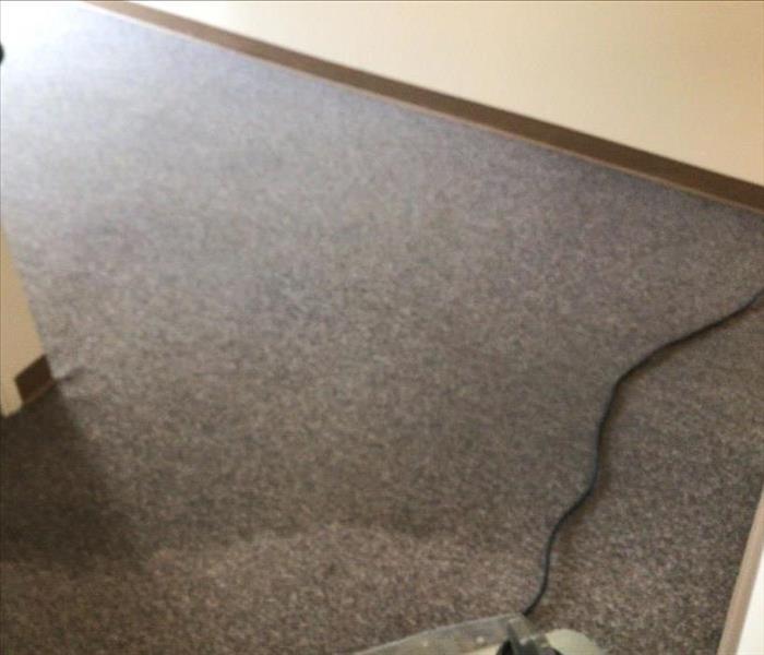 Wet carpet from water damage.