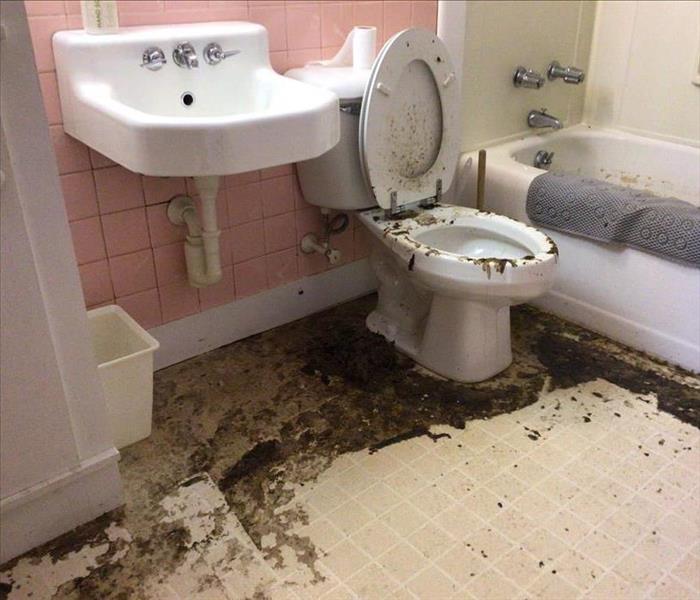 Bathroom after sewer damage.